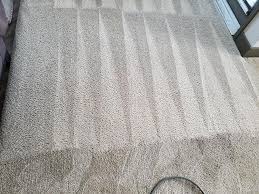 your local carpet cleaning in brandon