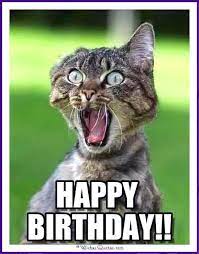 Funny Happy Birthday Memes With Cats Dogs Amp Funny Animals gambar png