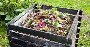 Where To Put A Compost Bin 14 Tips