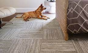 how to install carpet tiles the home