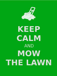 Not Gonna Lie Only Mowed The Front Lawn And Didnt Trim
