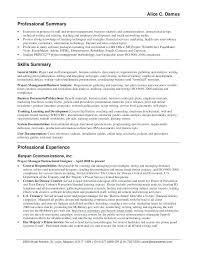 Professional Summary Resume How To Write A Professional Summary For