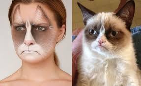 halloween grumpy cat makeup tutorial