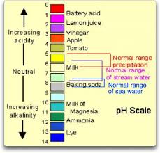 Claim Ocean Acidification Is Climate Changes Equally Evil