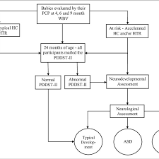Flow Chart Of Evaluation Process Pcp Primary Care Provider