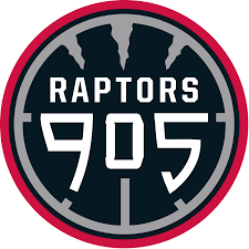 Fans need to read this. Raptors 905 Wikipedia