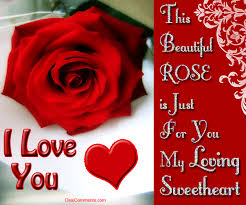 this beautiful rose is just for you