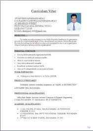 Cv Resume Format Download Examples Of Professional Resume