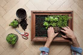 how to make a vertical garden the