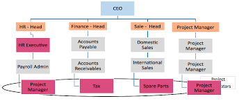 Matrix Organizational Structure A Complete Guide