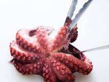 Can you eat raw octopus?