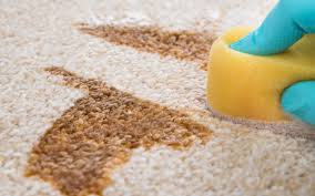 Wer kaffeeflecken aus der kleidung und dem teppich erfolgreich entfernen will, sollte die besten methoden zur reinigung kennen. Teppichreinigung Tipps Mobel Schulenburg