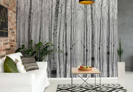 Birch Forest Wall Paper Mural Buy At
