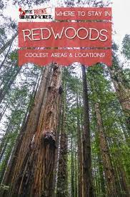must read where to stay in redwoods