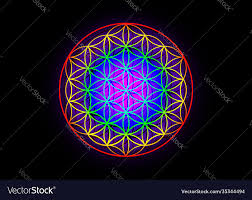 yantra mandala sacred geometry vector image