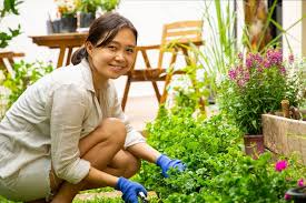 Premium Photo Asian Woman Gardening