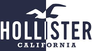 two toned hollister logo