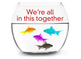 Image result for we're all in this together