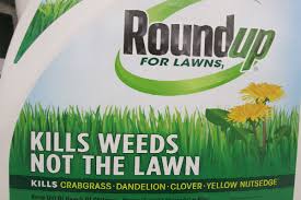 I have liked about 25% of the people available within a 5 mile radius to the point of not being able to find anyone else. Roundup For Lawns Familiar Herbicide Name But New Product Is Entirely Different Nebraska Extension Community Environment Nebraska