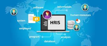 Sky erp hrm employee information management consists of department ,division, position, paygrade, designation above is the list of most popular hrms/hris software for smes with a little description. 6 Best Hris Hrms Software For Small Business 2020