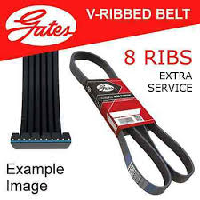 Details About New Gates Micro V Ribbed Belt 8 Ribs 1350mm Part No 8pk1350es Extra Service