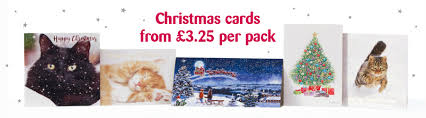 Christmas Cards Buy From The Cats Protection Charity Gift Shop