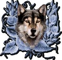 With tenor, maker of gif keyboard, add popular wolf animated gifs to your conversations. Wolf Gifs Tenor