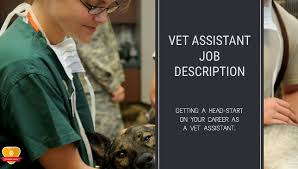The veterinary assistant feeds, waters, and examines pets and other nonfarm animals for signs of illness, disease, or injury in laboratories and animal hospitals and clinics. Vet Assistant Job Description What Does A Veterinarian Assistant Do