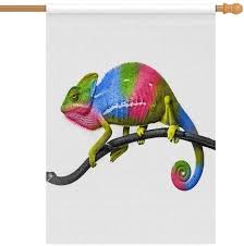 Use the pinned q&a + friend code megathreads. Amazon Com Interestprint Cute Colorful Chameleon Animal House Flag Decorative For Garden And Home Decorations House Banner 28 X 40 Inches Without Flagpole Garden Outdoor