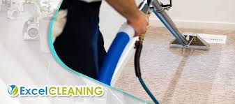 the 5 best carpet cleaning services in