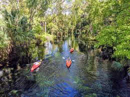 eco tours in florida near indian rocks