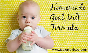 homemade goat milk formula recipe