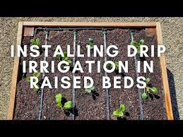 how to install drip irrigation in