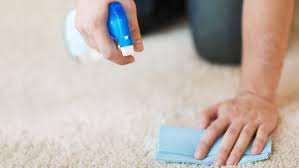 homemade carpet cleaner to eliminate stains