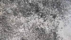 Prevent Mold Growth On Concrete