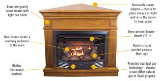 Procom Dual Fuel Vent Free Fireplace