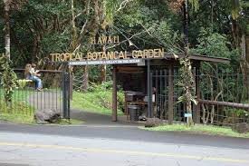 hawai i tropical botanical garden is