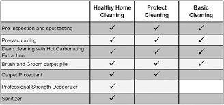 carpet cleaning protection lee s summit