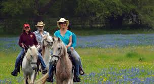 texas ranch activities things to do