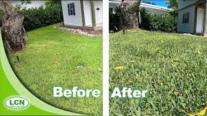 How To Green Up Your Lawn FAST :: 7 Days for RESULTS - YouTube