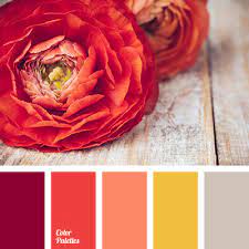 red and yellow color palette ideas