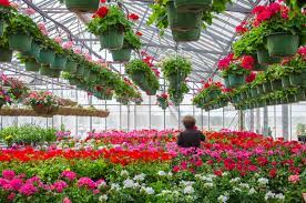 strange s florists greenhouses and