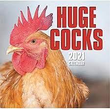2021 Wall Calendar - Huge Cocks, 12 x 12 Inch Monthly View, 16-Month,  Includes 180 Reminder Stickers: Wall Calendars: Amazon.com.au