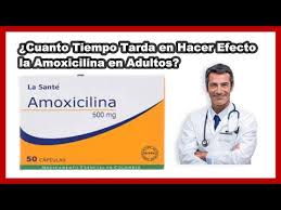 tomar amoxicilina 500 mg
