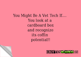 Creating a catchy slogan or … Tech Humor Sooo True Hahaha Vet Tech Quotes Vet Tech Humor Tech Humor