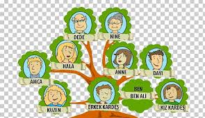 Genealogy Family Tree Nuclear Family Extended Family Png