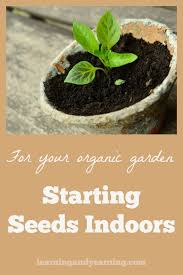 Starting Seeds For Your Organic Garden