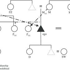 Relations Of Consanguinity Affinity And Suckling In Abdal
