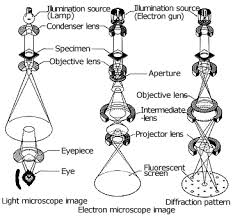 transmission electron microscope tem