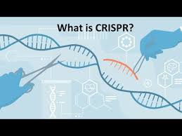crispr cas9 explained you